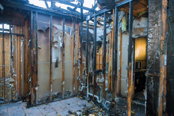 Professional Fire Damage Removal technician working in Metropolis, IL